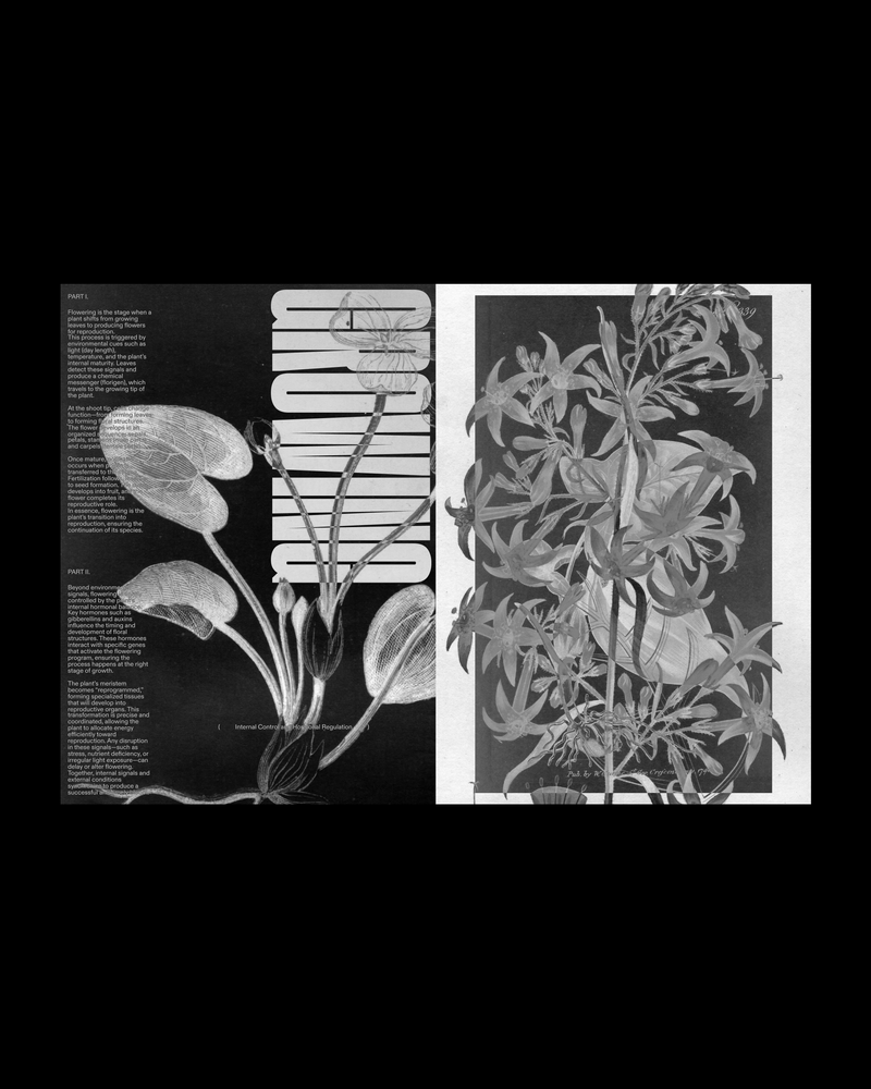 Work by Andrea Jelić — Project 5