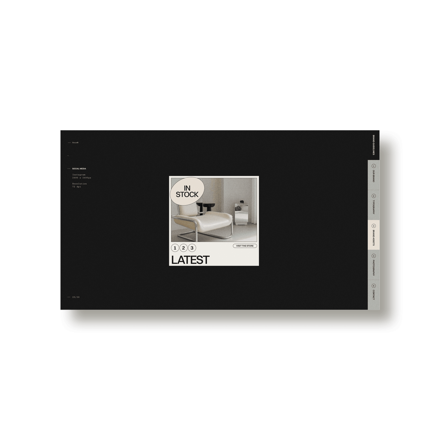 Haus Brand Guidelines - Studio Standard
