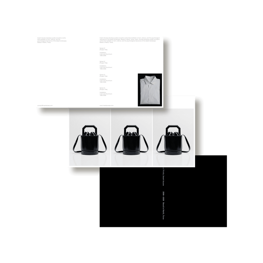 Lisa Fessl: Insert Access Portfolio Catalog - Studio Standard