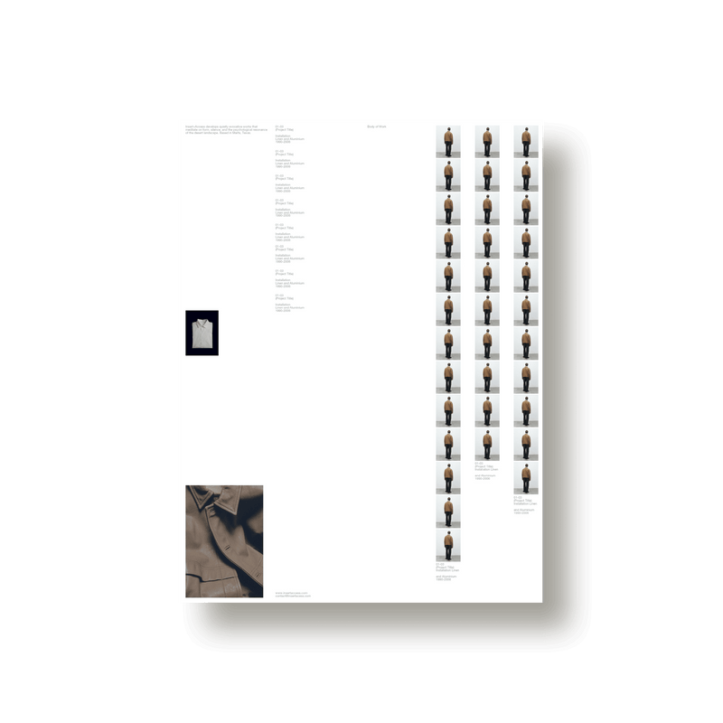 Lisa Fessl: Insert Access Posterfolio - Studio Standard