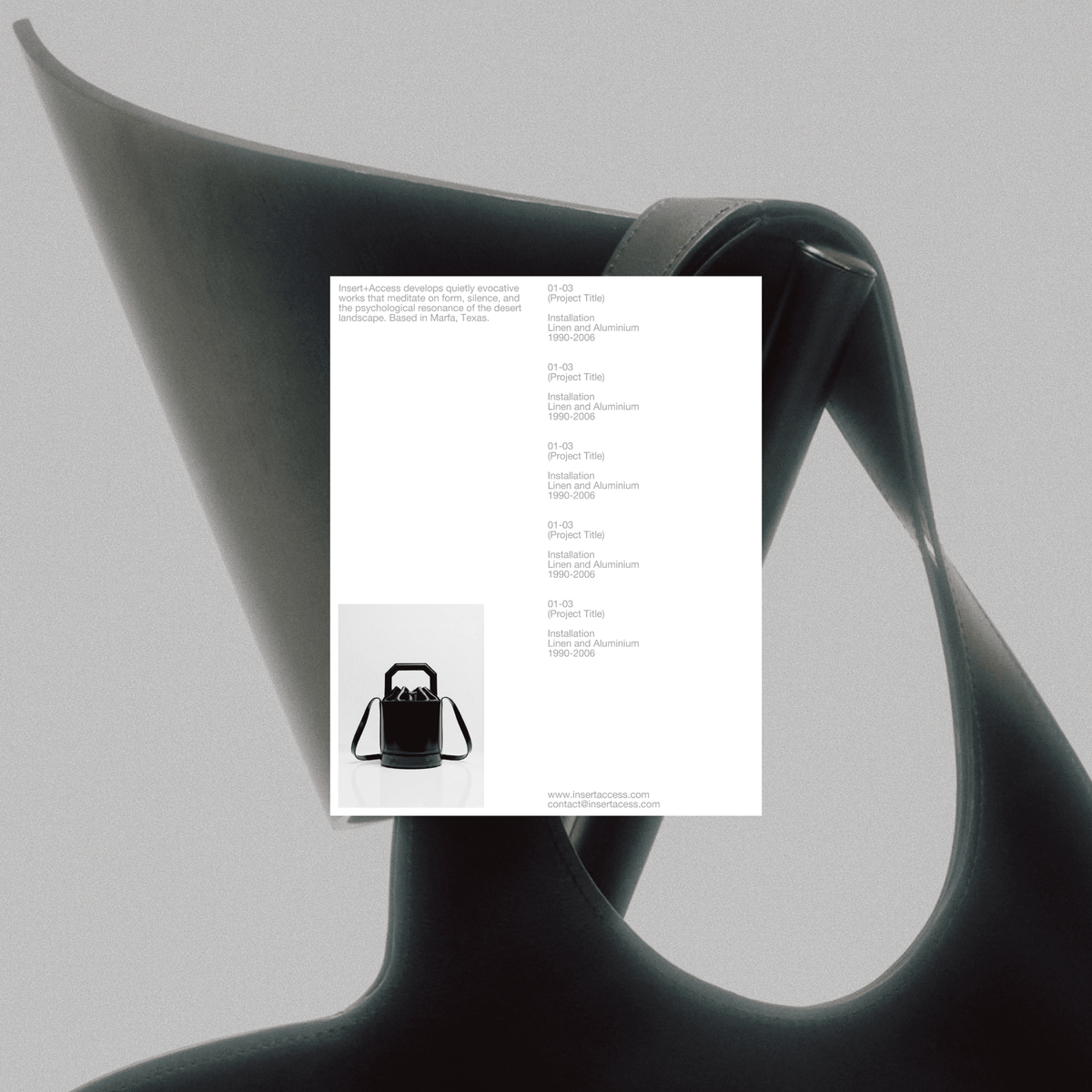 Lisa Fessl: Insert Access Social Media Kit - Studio Standard
