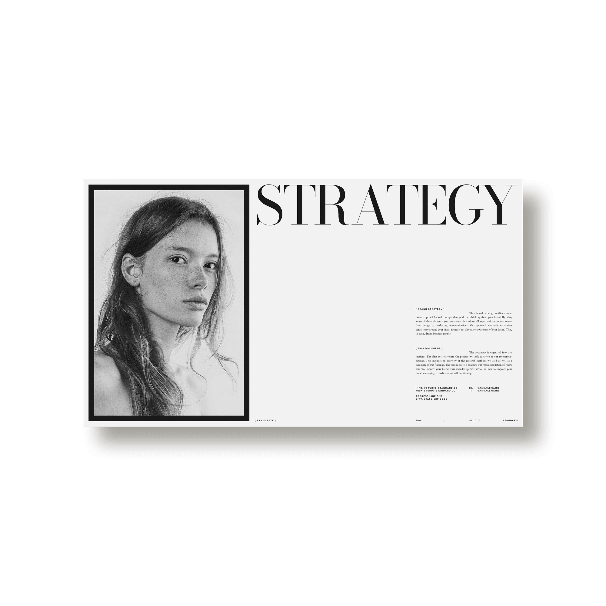 Lucette Brand Strategy - Studio Standard