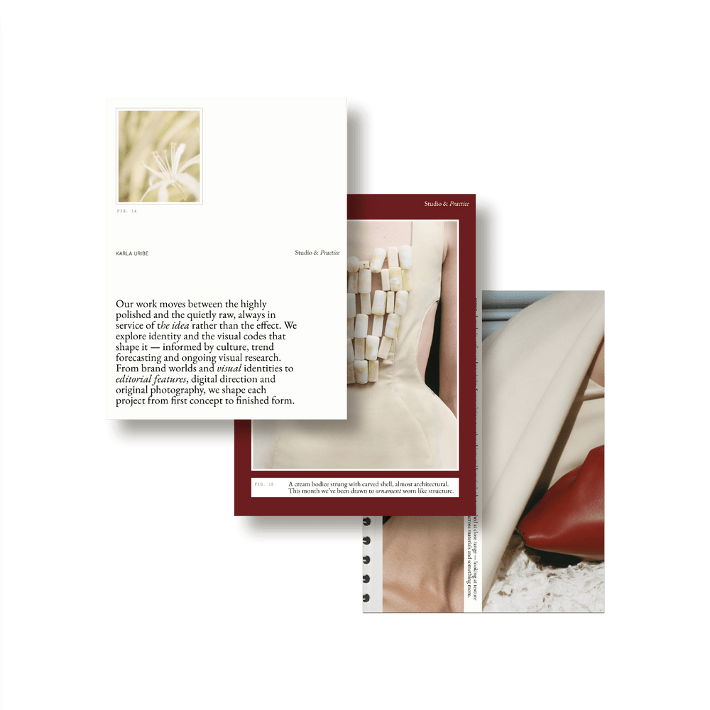 Natalia Karczewska: Atlas Social Media Kit - Studio Standard