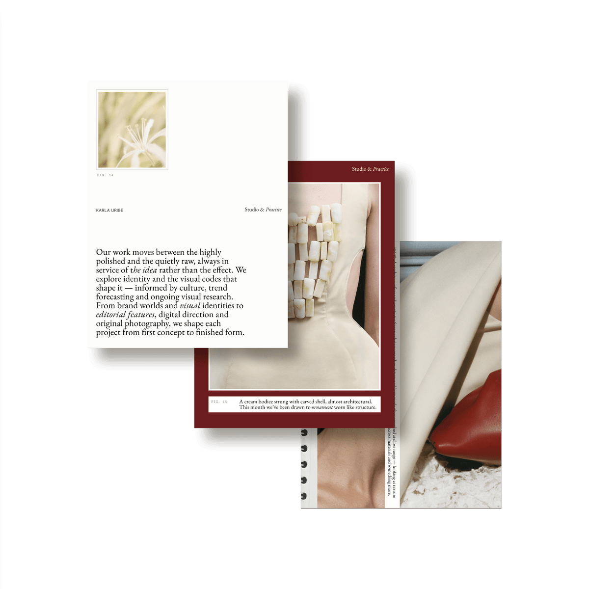 Natalia Karczewska: Atlas Social Media Kit - Studio Standard