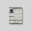 Studio Standard Lucette Resume Preview