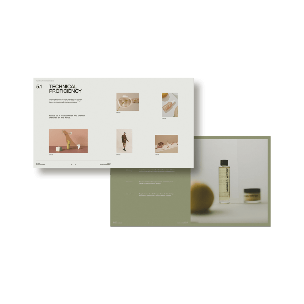 SS x Palette: Brand Specific Portfolio - Studio Standard