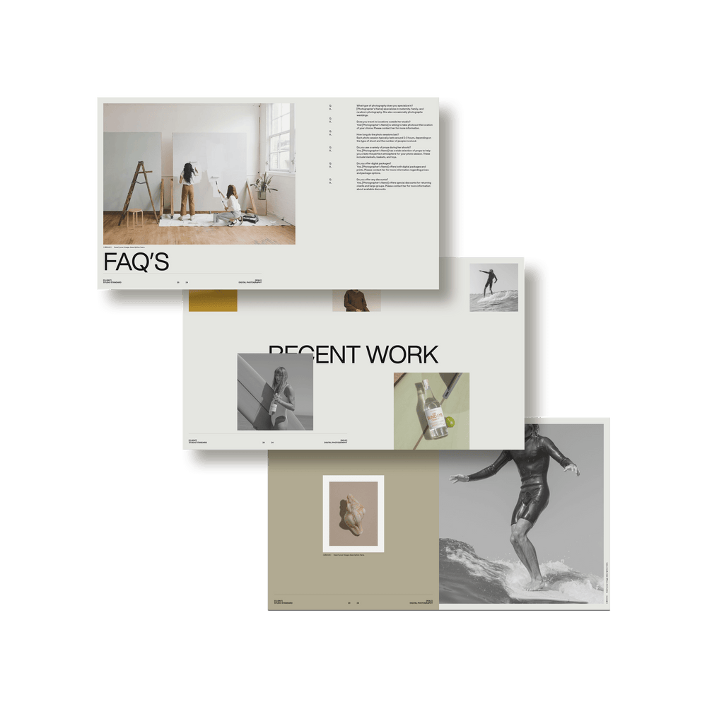 SS x Palette: Portfolio - Studio Standard