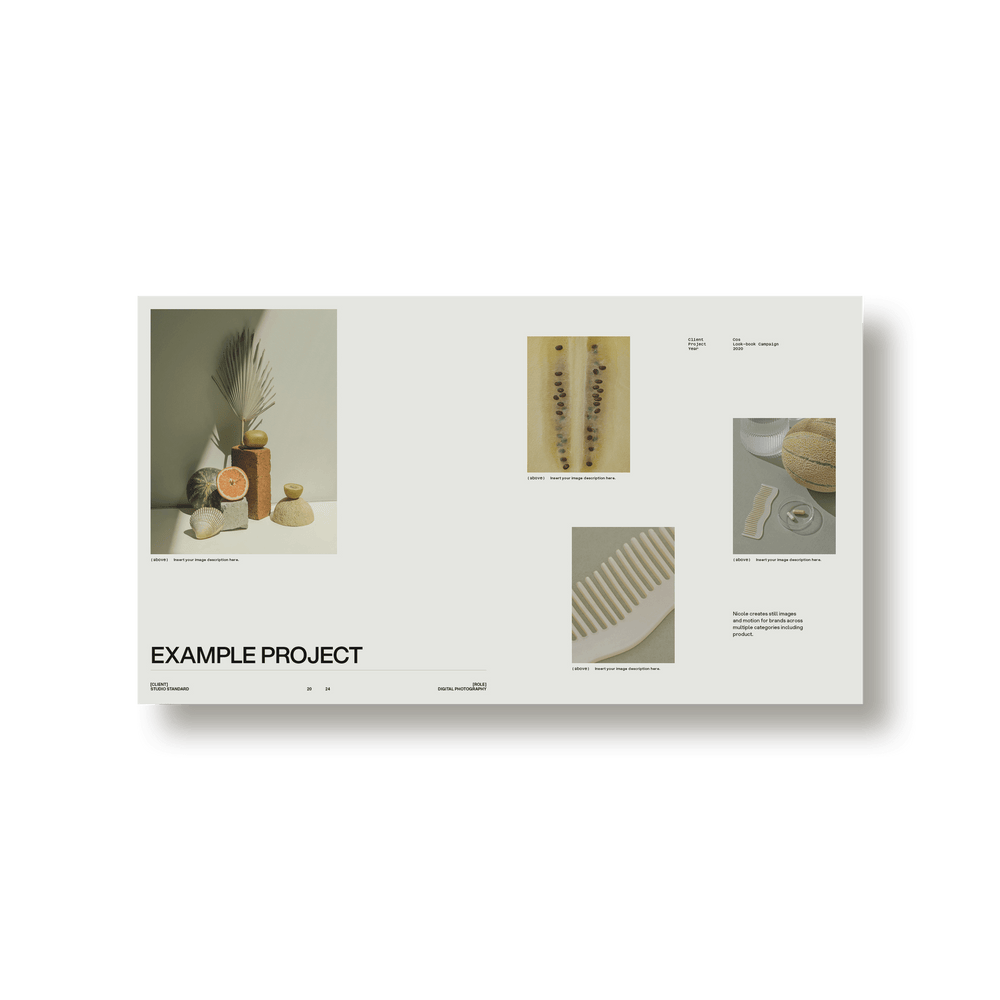 SS x Palette: Portfolio - Studio Standard