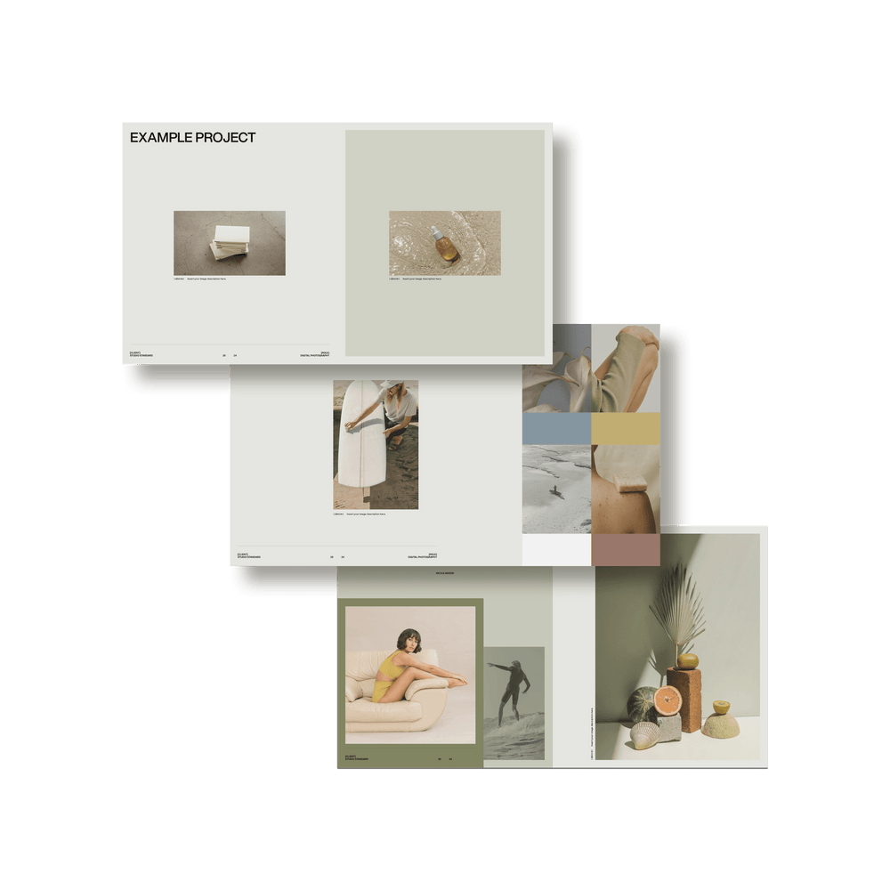 SS x Palette: Portfolio - Studio Standard