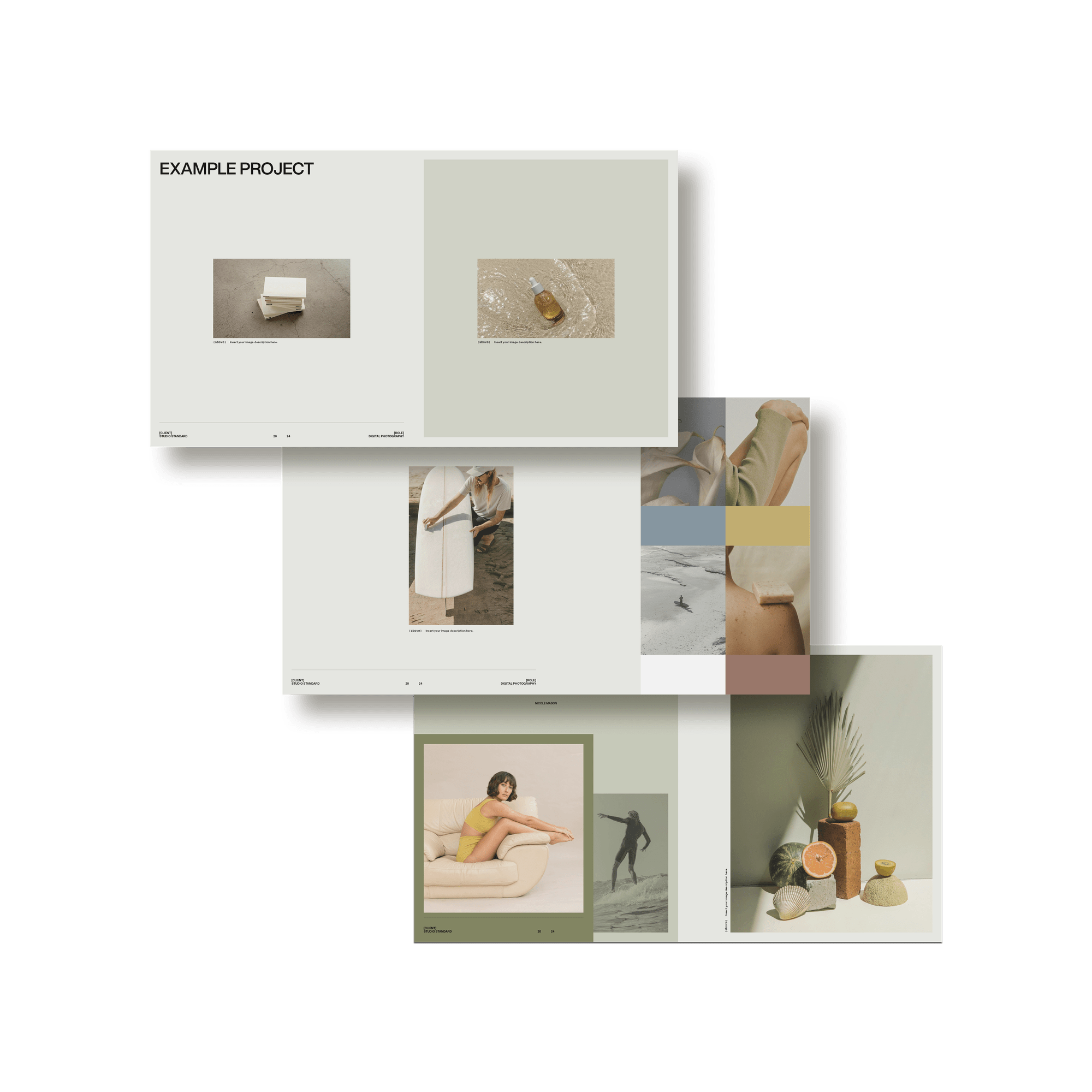 SS x Palette: Portfolio - Studio Standard