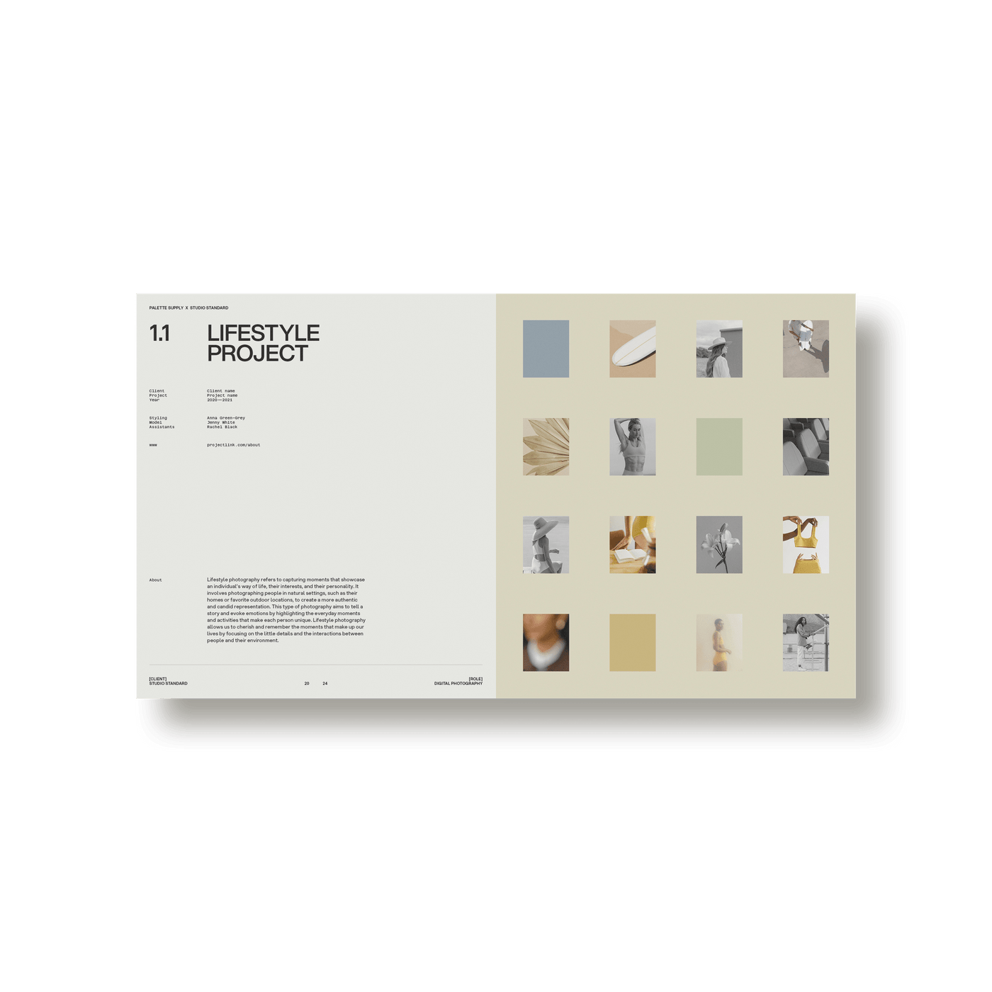 SS x Palette: Subject Specific Portfolio - Studio Standard