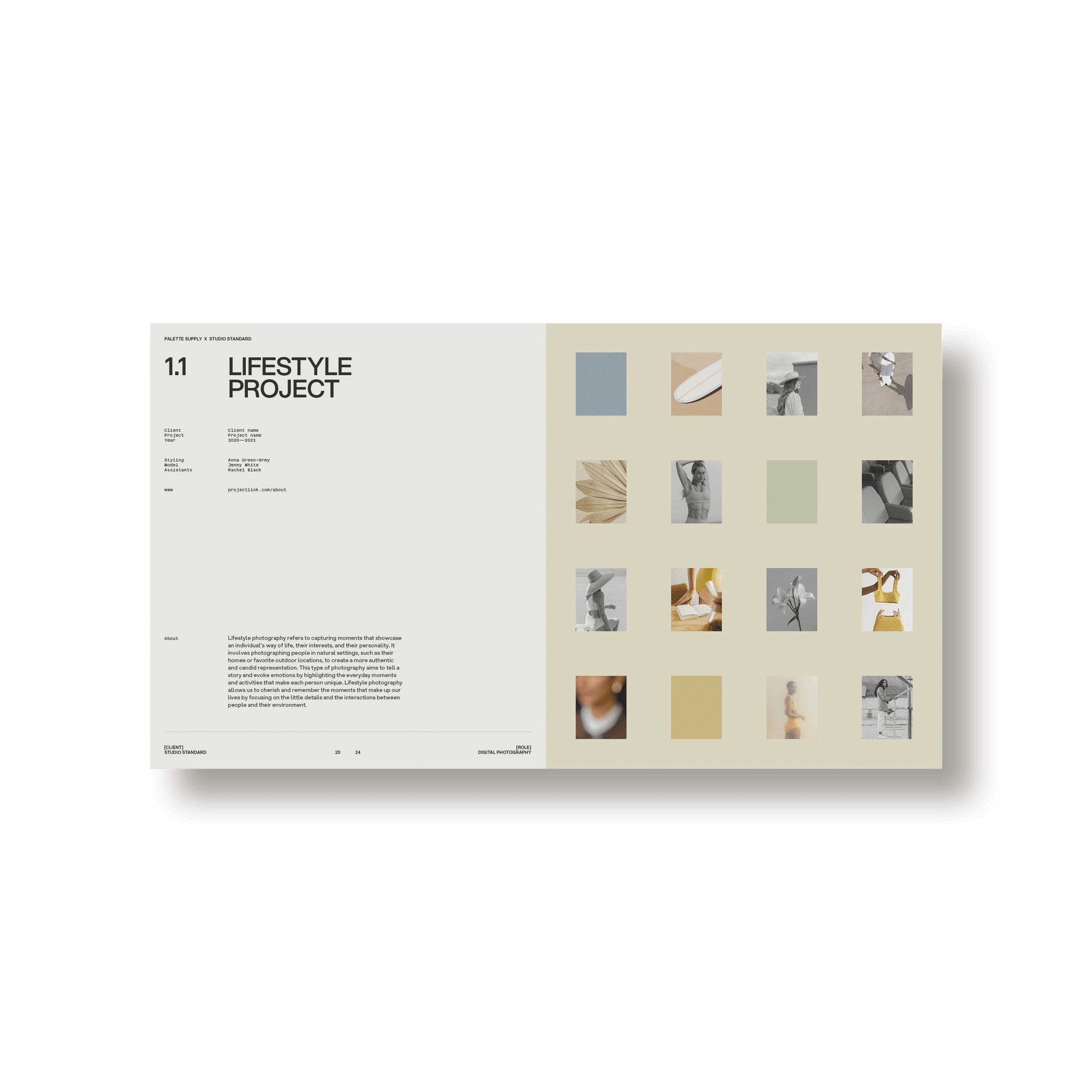 SS x Palette: Subject Specific Portfolio - Studio Standard