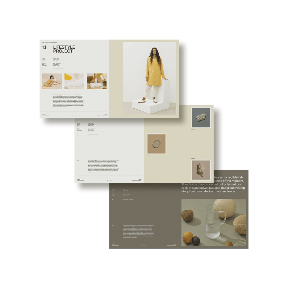 SS x Palette: Subject Specific Portfolio - Studio Standard