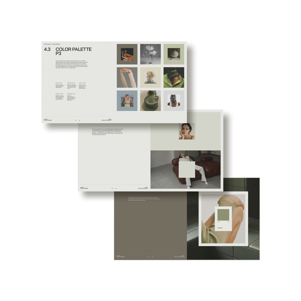 Studio Standard Palette Art Direction And Concepts 07 Layout03 Multi3