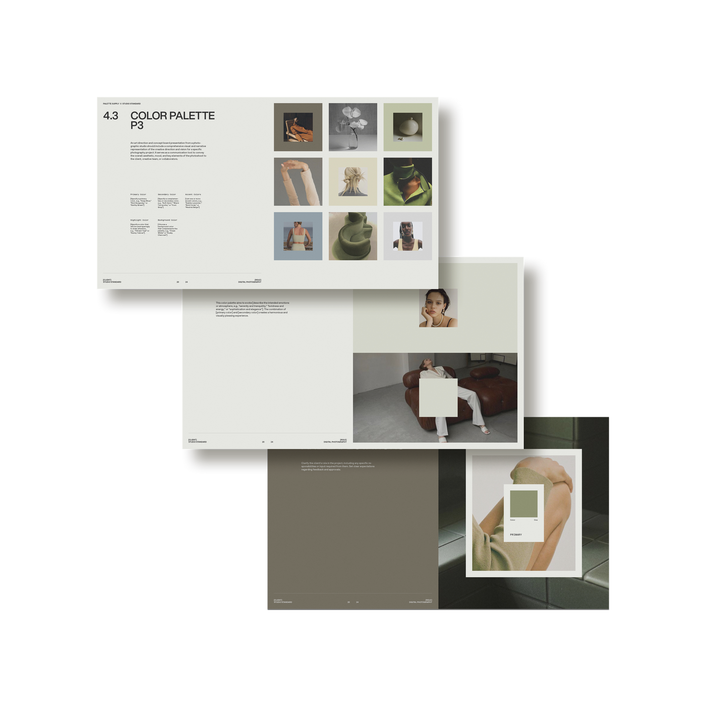 Studio Standard Palette Art Direction And Concepts 07 Layout03 Multi3