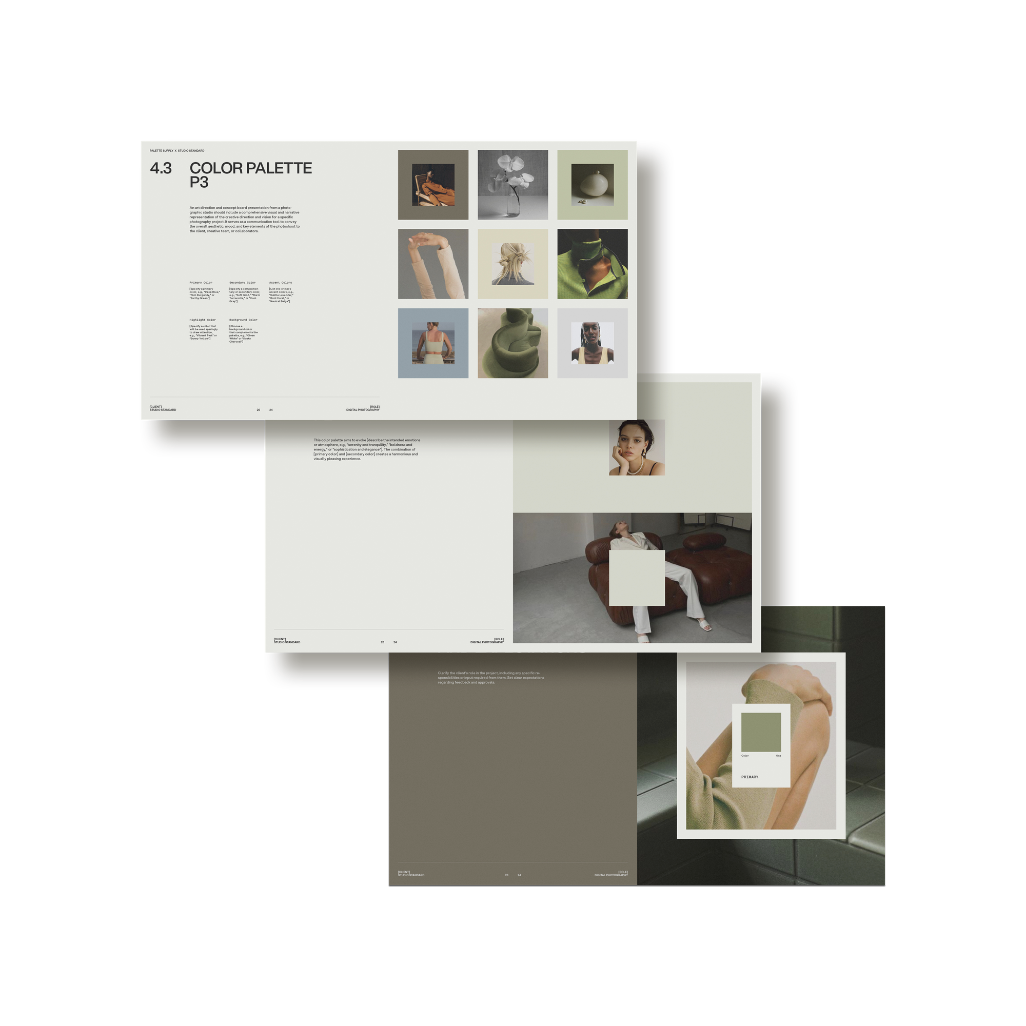 Studio Standard Palette Art Direction And Concepts 07 Layout03 Multi3